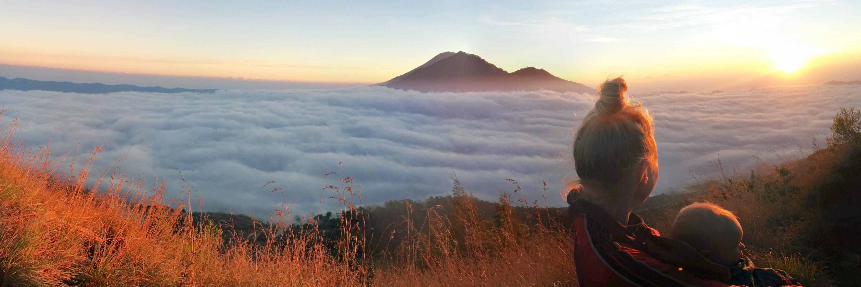 Cameron McGrane banner