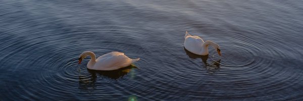 secondposition Profile Banner