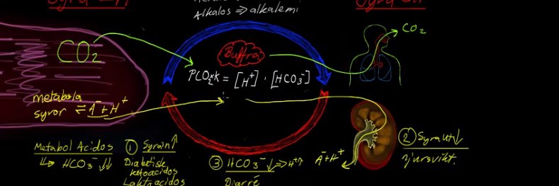 InterAnest.org banner