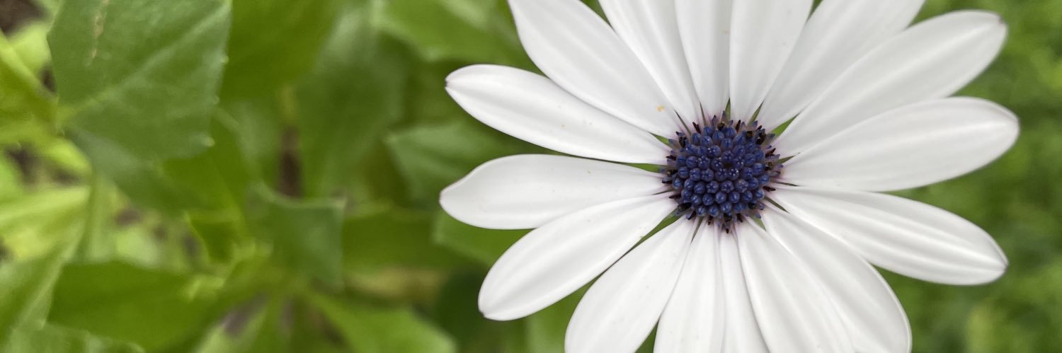 dlrmoods's profile banner image