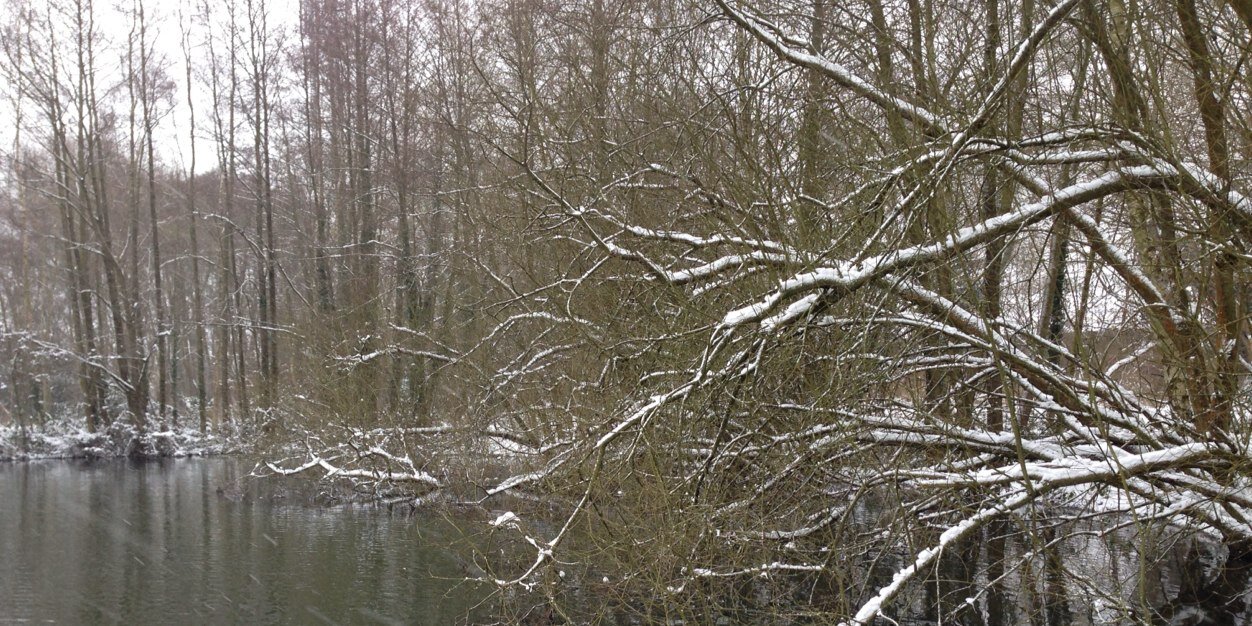 carpbaiters's profile banner image