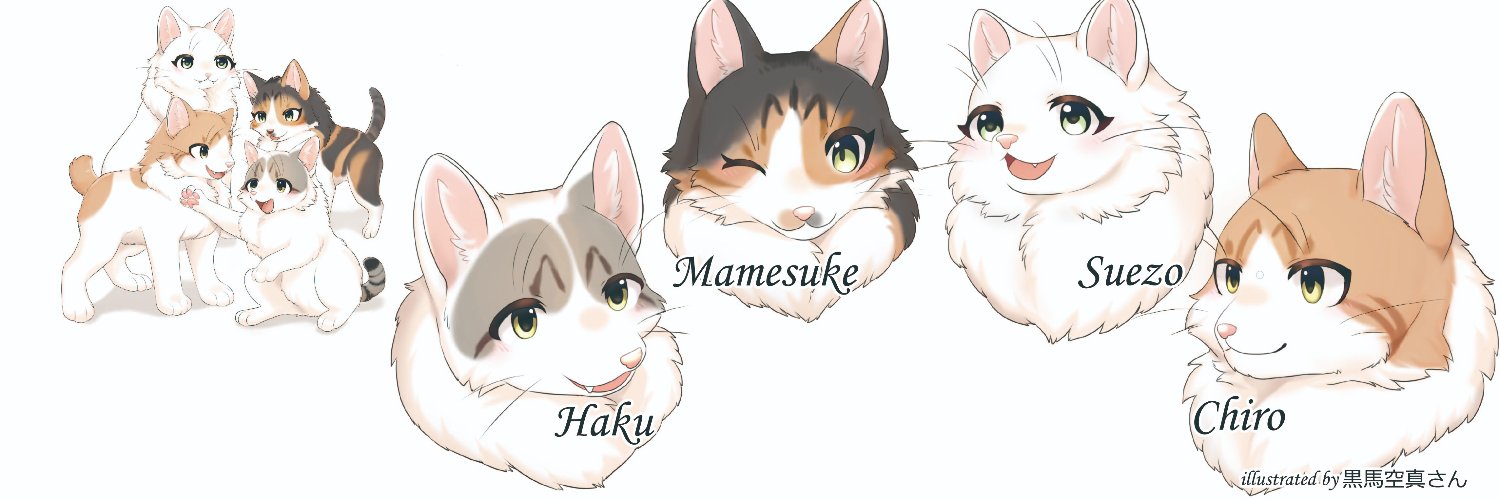 suepy001's profile banner image