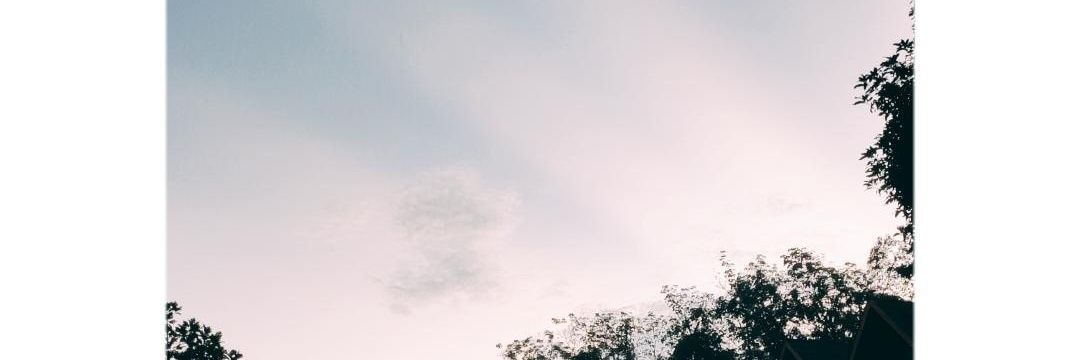 ststtbisadiam's profile banner image