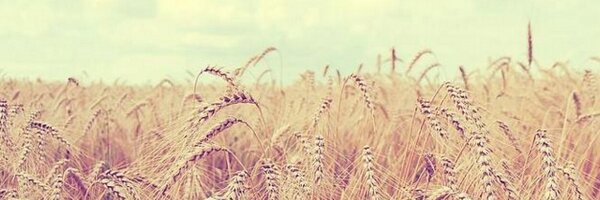 azharharr Profile Banner