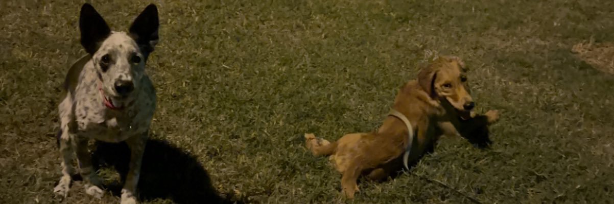 OrionCouch's profile banner image