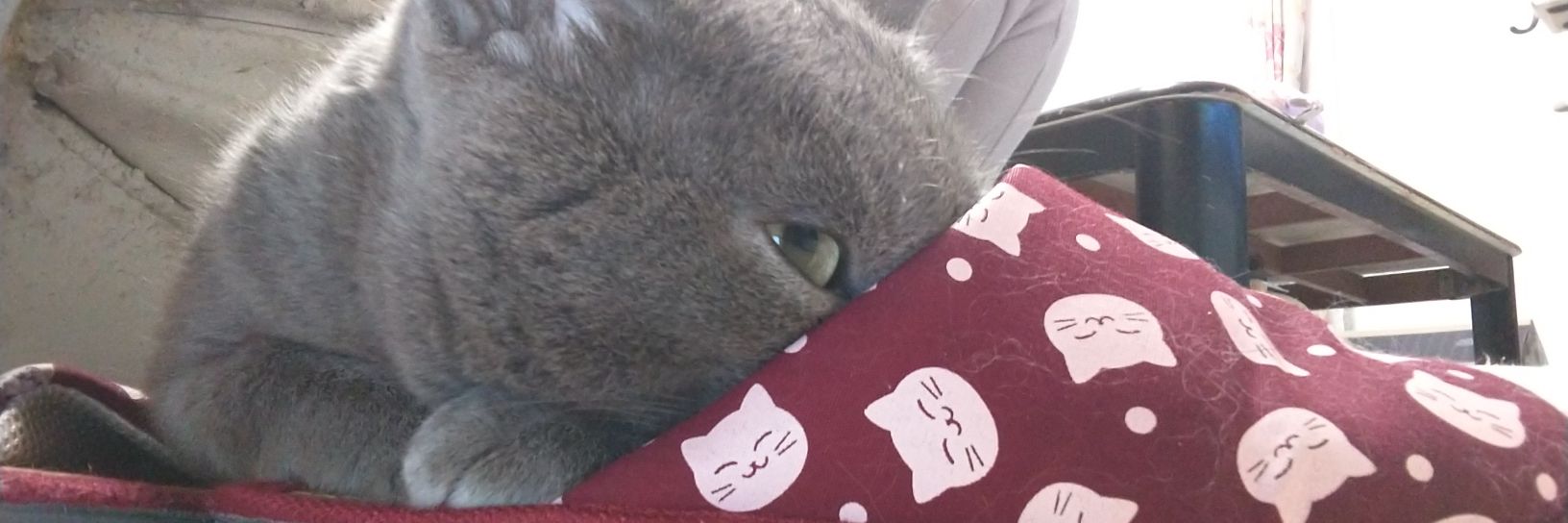 ∠エミュー banner