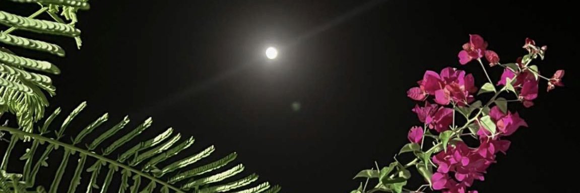 751_hi's profile banner image