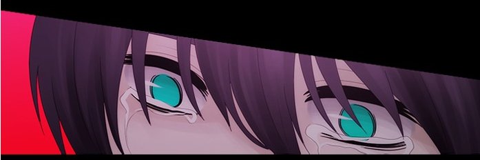 FemboyPoliceUwU banner