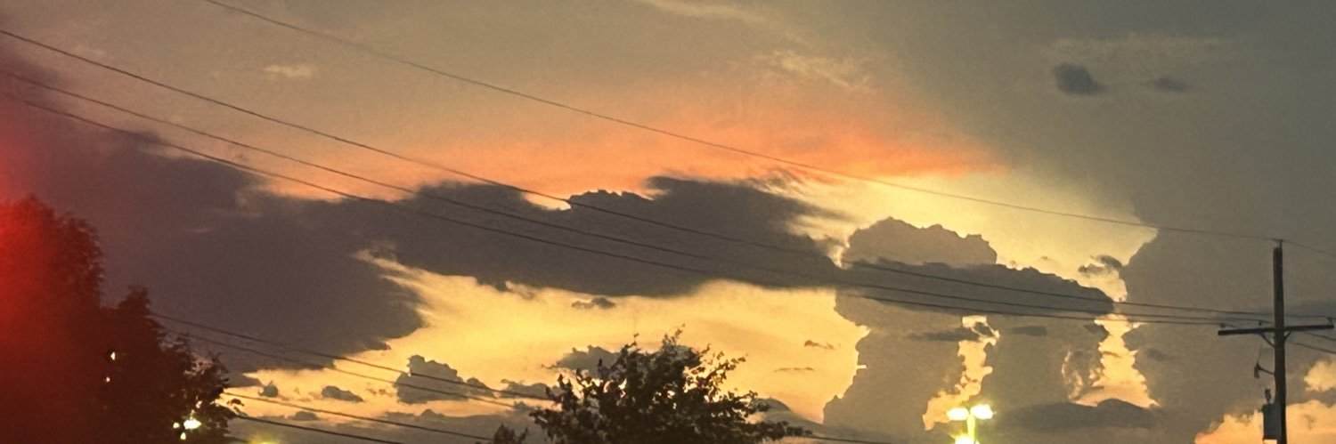 haliebug30's profile banner image