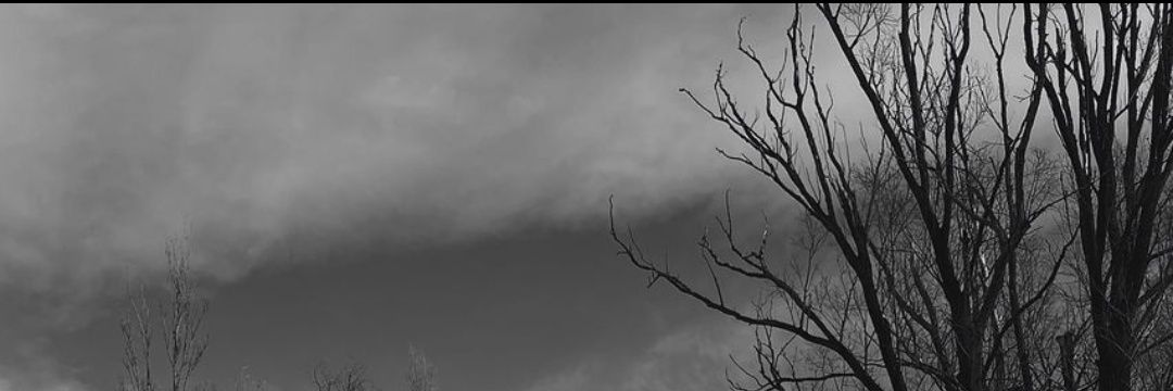 itsmayxs's profile banner image