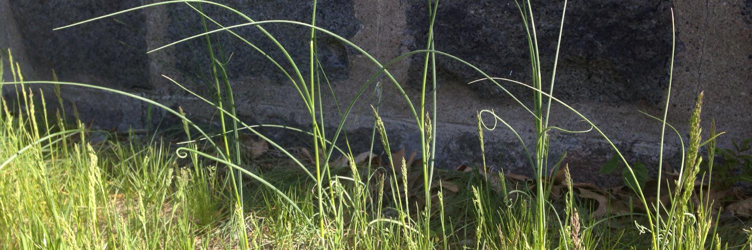 darlingtunes's profile banner image