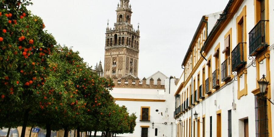 Anto_Marce's profile banner image