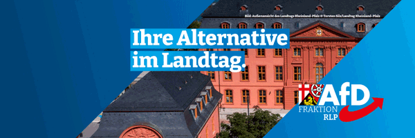 AfDFraktionRLP Profile Banner
