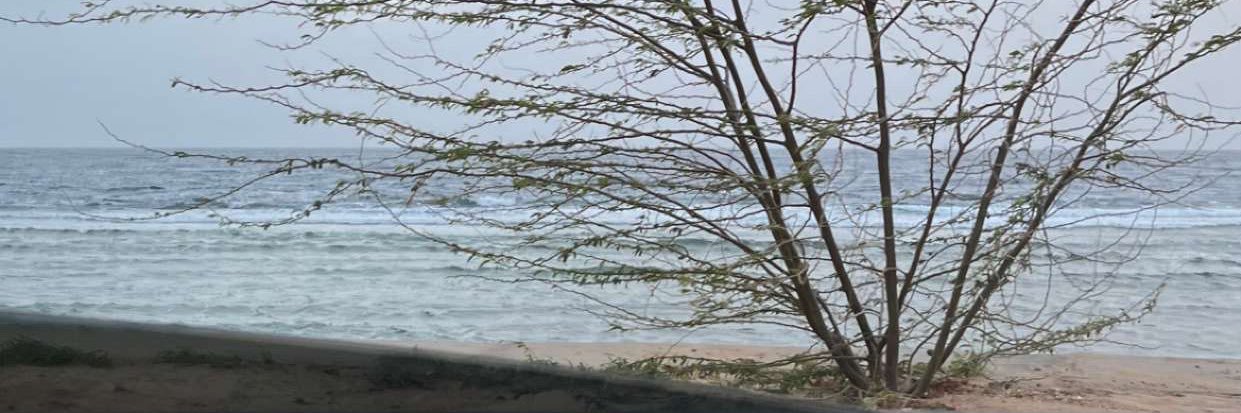 _srii0's profile banner image
