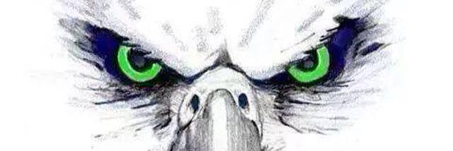 MDoob's profile banner image