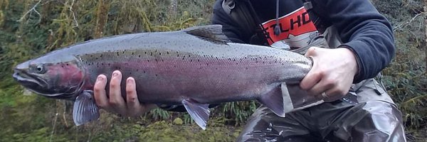 stlhdgear Profile Banner