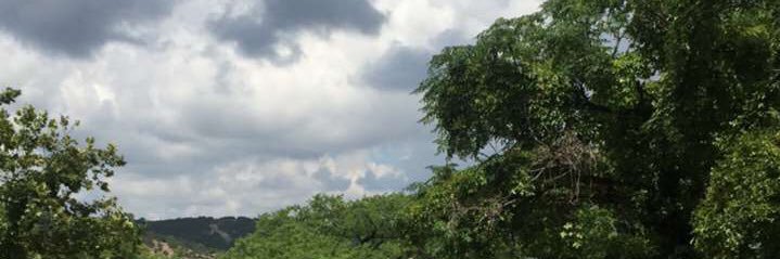 GeorgiaRoseSty2's profile banner image
