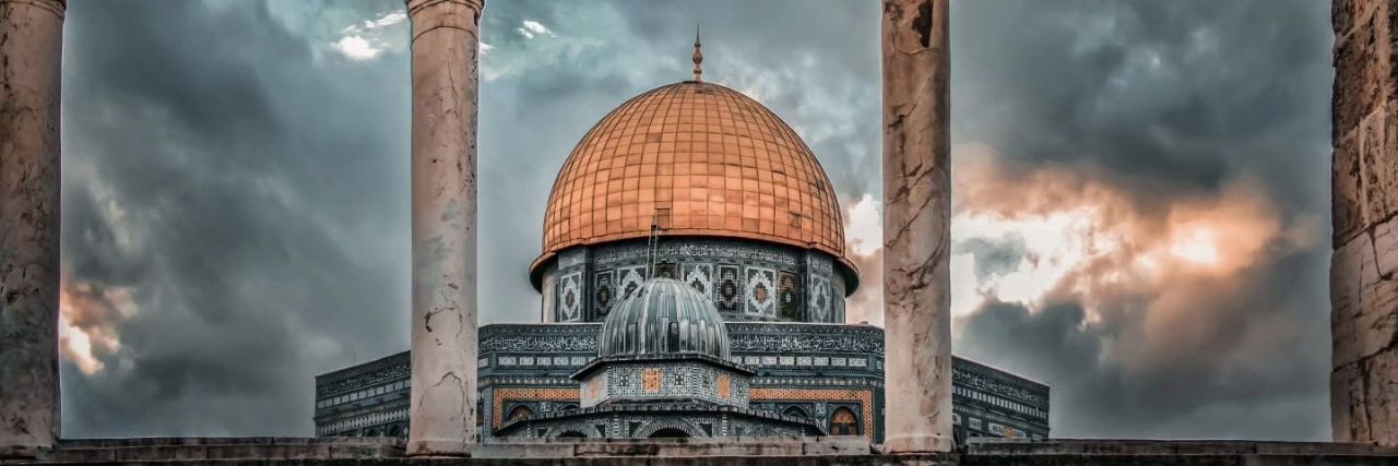 حنان العبد الله 🌿 🔻 🌿 banner