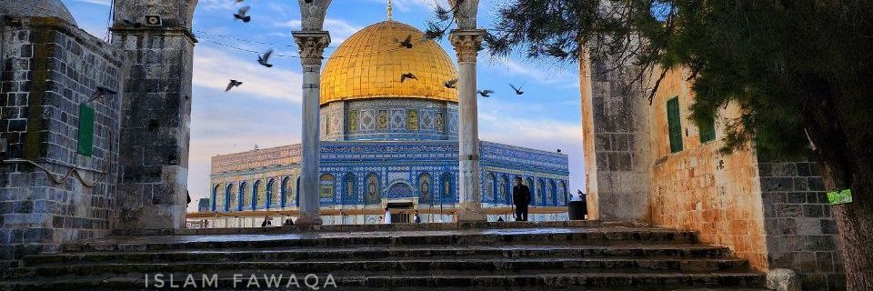 AlabdullahHanan's profile banner image