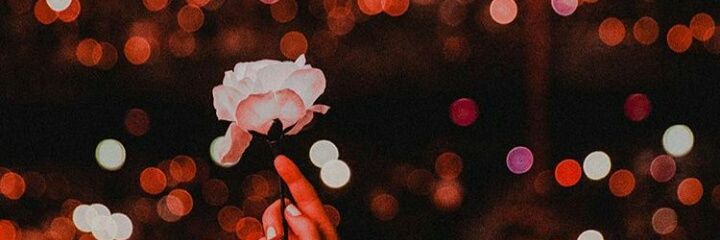 Ocean_apage's profile banner image