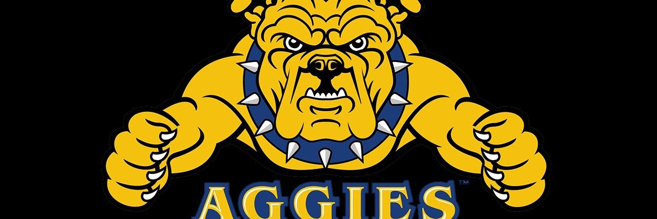 Kamala's Right Hand🏳️‍🌈 banner