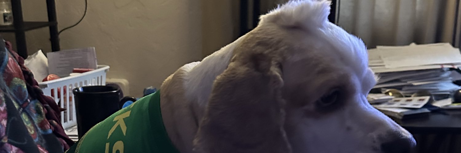 AllenEffieallen's profile banner image