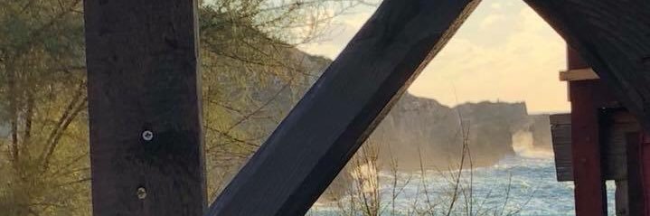 Marsha Thompson banner