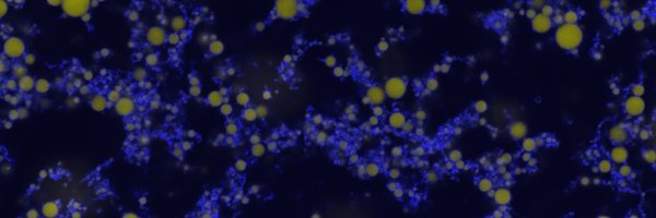 LabSquishyStuff Profile Banner