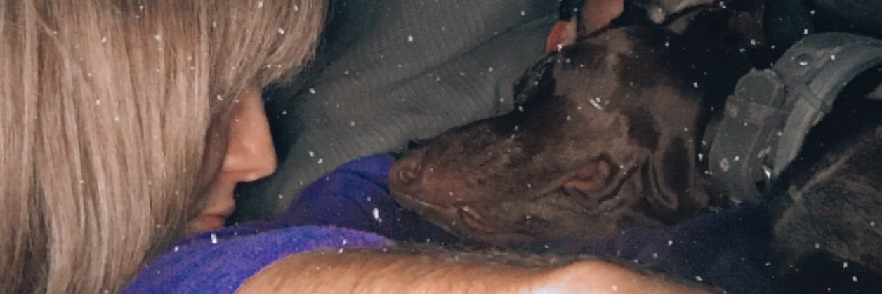 saragrimaldi5's profile banner image
