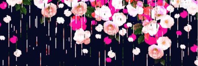 EStedcke's profile banner image