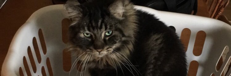 JustJeramy's profile banner image