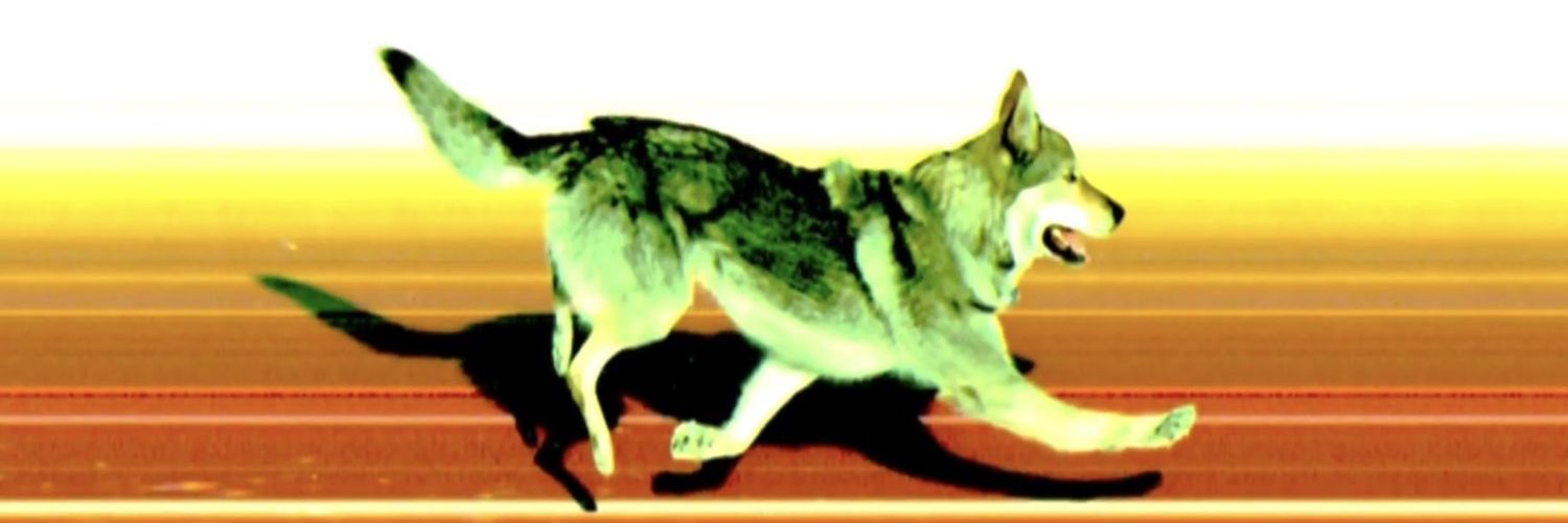 パーシーNitroザッコジャパニスト banner