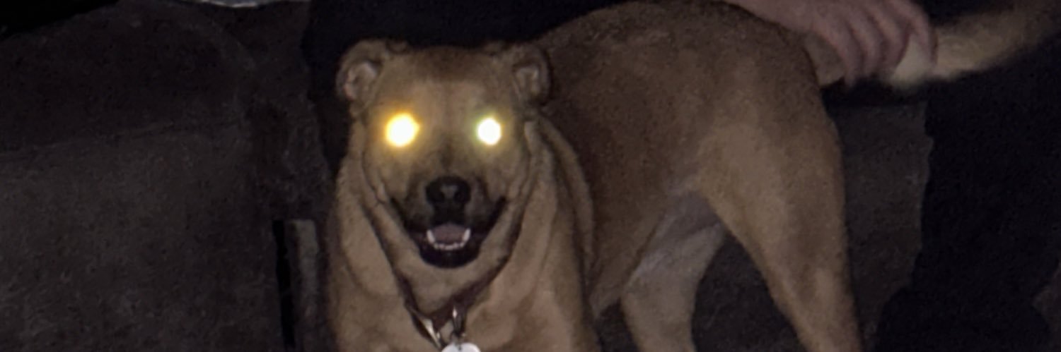 BrianBorgers's profile banner image