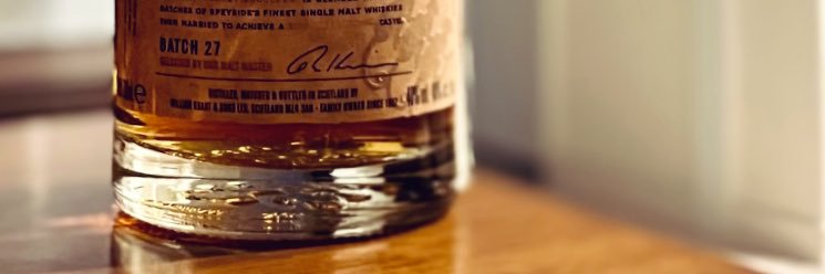rew17_'s profile banner image