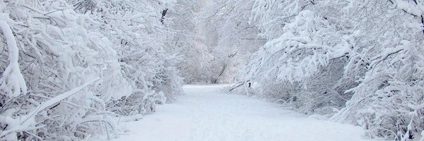 StoryBlizzard's profile banner image