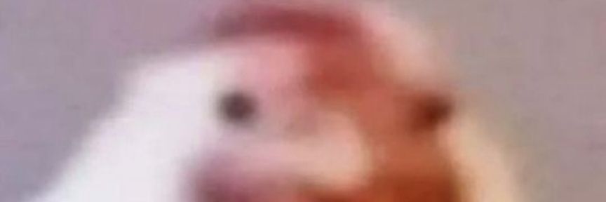 Alf_v_b's profile banner image