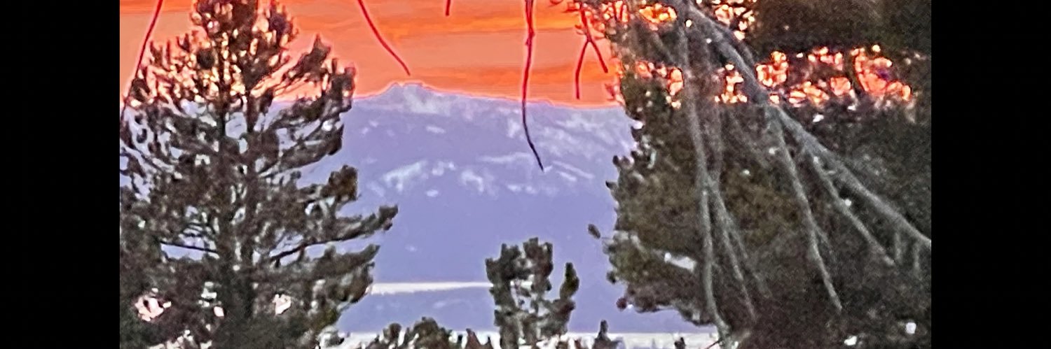 alexdocz's profile banner image