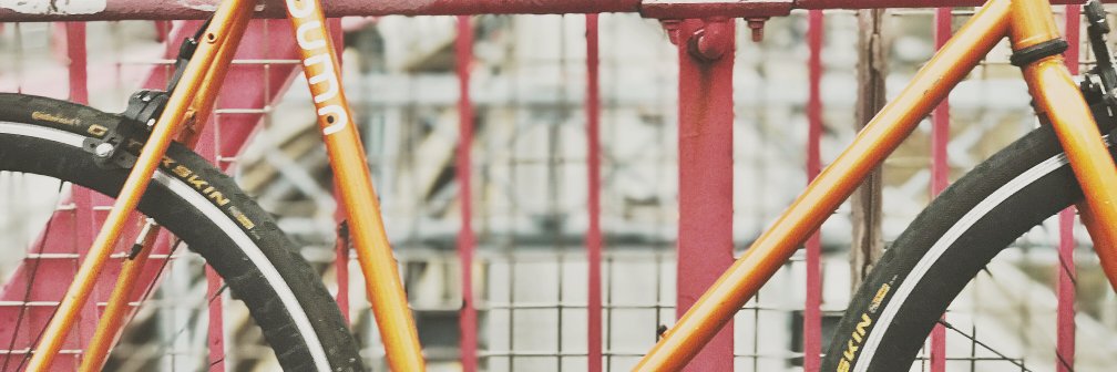 millie_viz's profile banner image