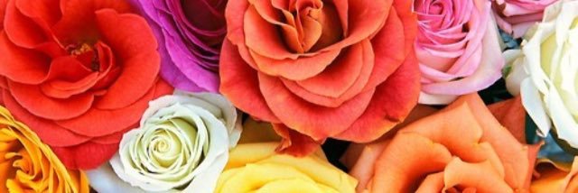 SiennaEscott's profile banner image