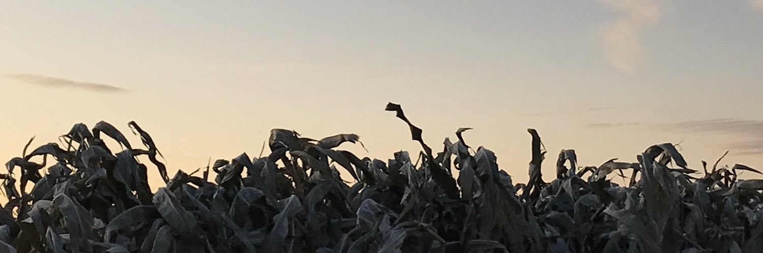 Rylee_Crowley's profile banner image