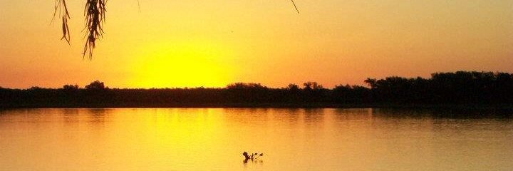 walandrada's profile banner image