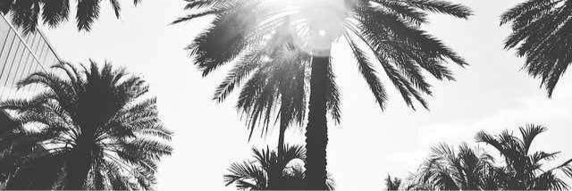 domfromguam's profile banner image