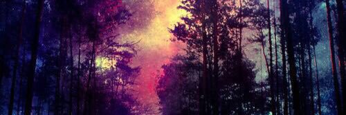 colouredocean's profile banner image