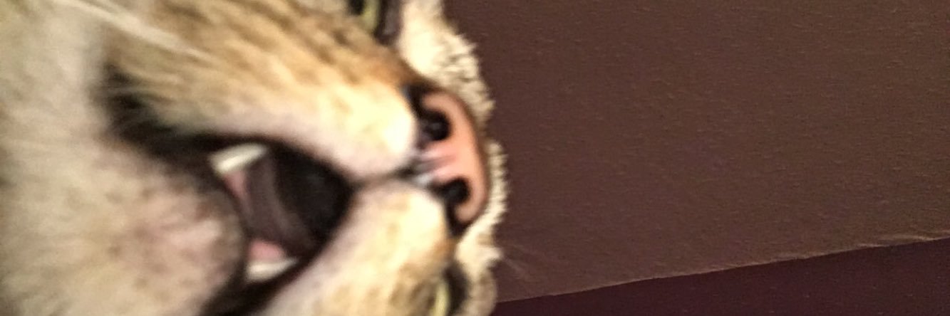 zoeeee___x's profile banner image
