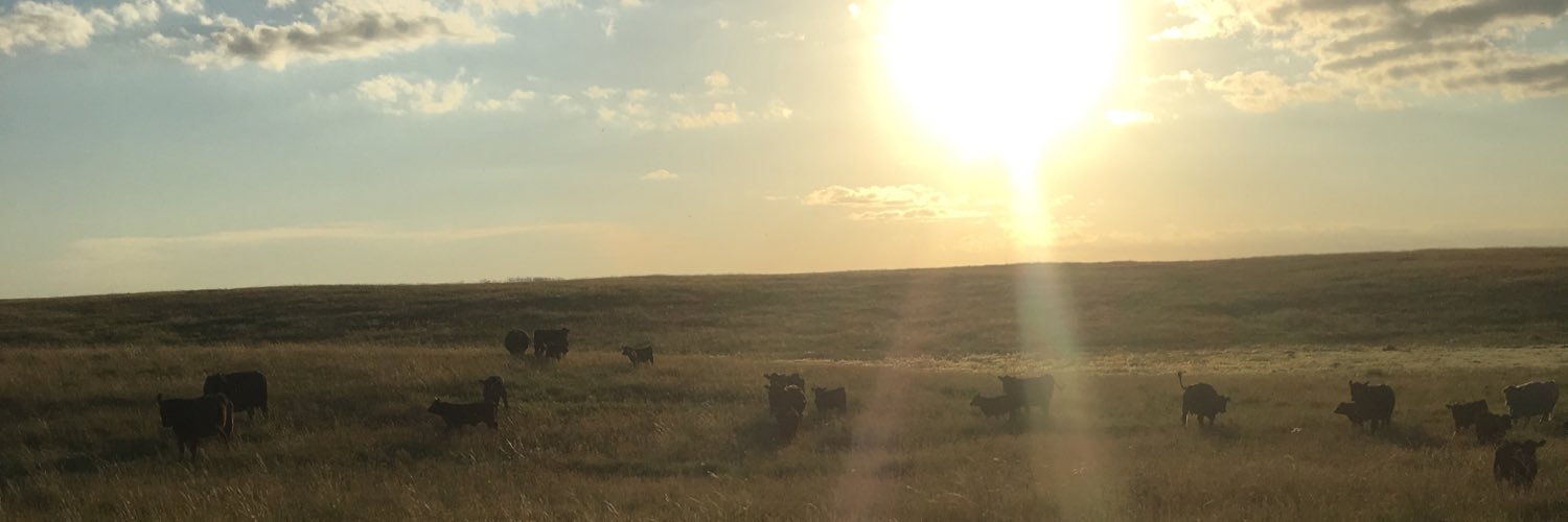 gin_miller's profile banner image