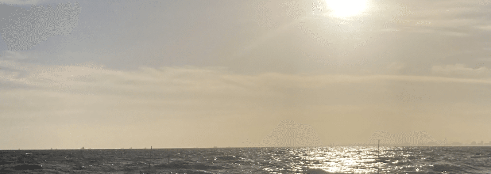 RachJohnson3's profile banner image