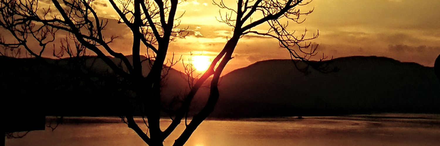 MissGray🤍❤️🩶 banner