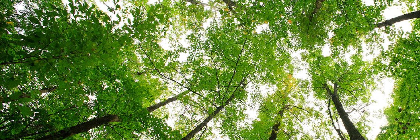 Wisconsin Initiative on Climate Change Impacts banner