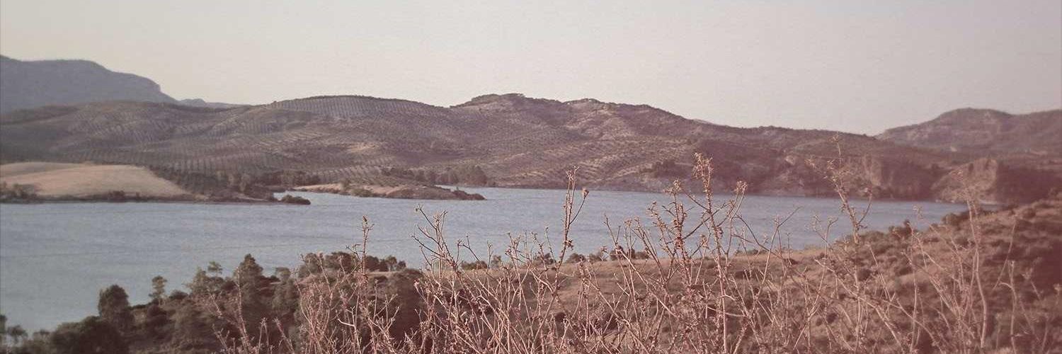 minesendil_'s profile banner image