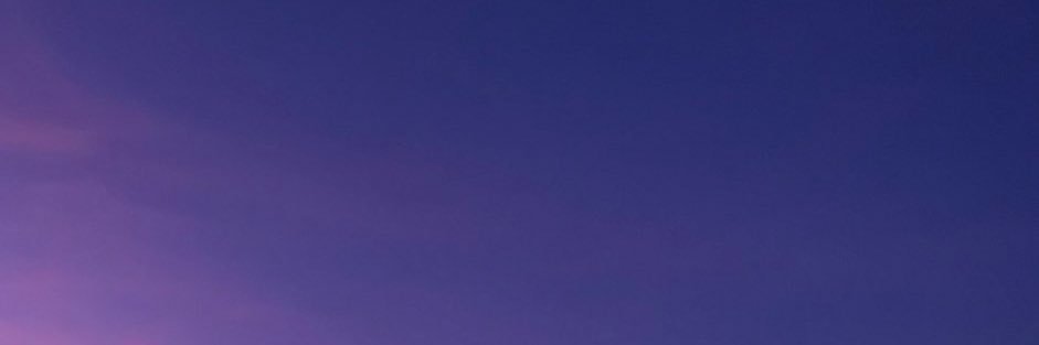 junglicized's profile banner image